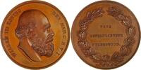 Netherlands Historical medal Decoration for "Humanitarian Aid" Willem III Type II -