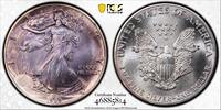 1 dollar USA 1 dollar 1989, PCGS MS68, American Silver Eagle RAINBOW TONED -