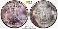 1 dollar USA 1 dollar 1989, PCGS MS67, American Silver Eagle RAINBOW TONED -