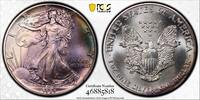 1 dollar USA 1 dollar 1989, PCGS MS68, American Silver Eagle RAINBOW TONED -