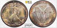 1 dollar USA 1 dollar 1987, PCGS MS66, American Silver Eagle RAINBOW TONED -