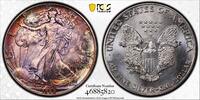 1 dollar USA 1 dollar 1988, PCGS MS66, American Silver Eagle RAINBOW TONED -