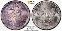1 dollar USA 1 dollar 1989, PCGS MS67, American Silver Eagle RAINBOW TONED -