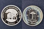 ÄQUATORIALGUINEA 7000 Francos 1993 BÜFFEL -