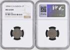 G.N.GUINEA 1P -