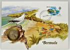 Bermuda 25 Cents Abbildung eines Vogels an der Küste - Numisbrief -