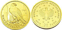 Bundesrepublik Deutschland / BRD 20 Euro Deutsche Vögel - Wanderfalke -