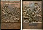 Hamburg, eins. Bronzeplakette A.d. Gartenbauausstellung, -