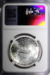 1 Pound Egypt Silver AH1401 1981  NGC MS65 Suez Canal Nationalization KM# 528 (5)