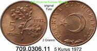 Türkei 5 Kurus *405a KM890.2 -- 2 Gramm . 709.0306.11 -
