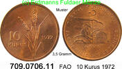 Türkei 10 Kurus *419 KM898.1 FAO -- 3,5 Gramm . 709.0706.11 -