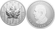 Canada 20$ 2023 NEW! Canada 2024 20$ MAPLE LEAF Forest SML Ultra High Re... 149,99 EUR139,99 EUR  Excl. 7,00 EUR Verzending