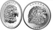 Canada 25$ 2020 Proud Bald Eagle 1 oz. Pure Silver EHR Coin Proof 199,99 EUR169,99 EUR  Excl. 7,00 EUR Verzending