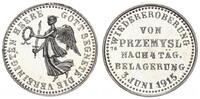 Deutsches Kaiserreich Siegespfennig Medaille - Gott Segnete die vereinigten Heere - Przemysl -
