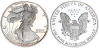 Vereinigte Staaten von Amerika 1 Dollar - 1 Unze Silber USA One Dollar - 1 $ American Eagle 1 oz Feinsilber proof -
