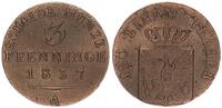Brandenburg Preußen 3 Pfennig Friedrich Wilhelm III. -