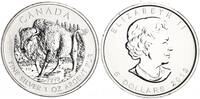 Kanada 5 Dollar Wildlife - Bison -