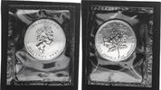 Kanada 5 Dollar Maple Leaf, 1 Unze Silber -