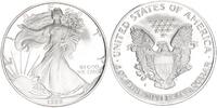 USA 1 Dollar American Eagle - Liberty 1oz -