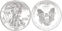 USA 1 Dollar American Eagle - Liberty 1 Unze Silber -