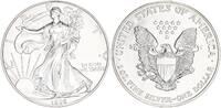 USA 1 Dollar American Eagle -