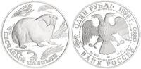Russland 1 Rubel Sandblindmaus 1/2oz Silber -