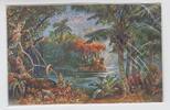 Postkarte aus Kamerun 20. Mai 1915 Kaiserreich Postkarten Ausland Kaiserreich Kolonien aus Kamerun gelaufen; siehe Bild