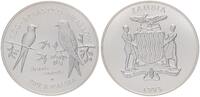 Sambia 250 Kwacha Rotbrustschwalbe 4oz Silber -