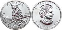Kanada 5 Dollar Wildlife - Puma Silber -