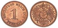 Deutschland / Kaiserreich 1 Pfennig Kaiserreich 1 Pfennig J.10 1903 F -