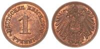 Deutschland / Kaiserreich 1 Pfennig Kaiserreich 1 Pfennig J.10 1909 E -