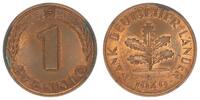 Deutschland - BRD 1 Pfennig 1 Pfennig Bank deutscher Länder - BRD 1 Pfennig 1949 F -