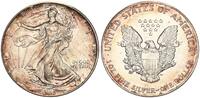 USA 1 Dollar American Eagle Liberty - 1 Unze Feinsilber -
