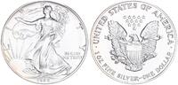 USA 1 Dollar American Eagle Liberty - 1 Unze Feinsilber -
