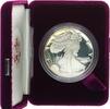 USA 1 Dollar American Eagle mit Box und Zertifikat -