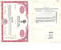 Amerika 100 Anteilsschein der GEOTEL, INC -