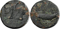 Provincial romain Auguste et Agrippa As 10-14 AD Nemausus - Nîmes Provincial romain -