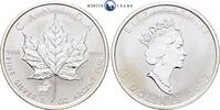 Kanada 5 Dollar 1 Unze Silber Maple Leaf, Privy Mark Pferd, Lunar Serie -