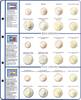 Vordruckblatt EURO COLLECTION: Kursmünzensätze Österreich / Portugal / Spanien -