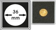 Münzkapseln CARRÉE 36 mm, 4er Pack -