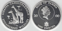 Sambia 1000 Kwacha Zambia silver commemorative coin "endangered wildlife - Giraffa camelopardalis" -