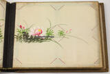 China / Japan um 1915 Postkartenalbum / Lackalbum / Seidenmalerei / Album für 72 Ansichtskarten 2-3