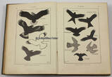 Deutsches Reich 1914 Ferdinand von Raesfeld / Das deutsche Weidwerk / Ein Lehr= und Handbuch der Jagd 2-3
