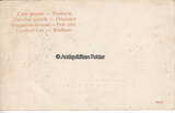 Flensburg 1904 Ansichtskarte / Postkarte / Zulu War Dance 2-3