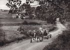 Bad Berleburg-Weidenhausen Ansichtskarte/Postkarte/Bad Berleburg-Weidenhausen -