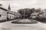 1965 Ansichtskarte/Postkarte/Pinneberg, Rosenhof 2
