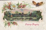 Deutsches Reich 1905 Prägekarte/Ansichtskarte/Fröhliche Pfingsten/Maikäfer, Blumen, Landschaft 2-3