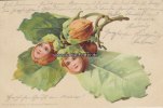 Deutsches Reich 1905 Ansichtskarte/Postkarte/Künstlerkarte/Blätter/Früchte mit Gesichtern 1-2