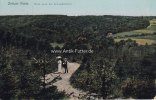 1911 Ansichtskarte/Postkarte/Zeitzer Forst. Blick nach der Schneidemühle. 2-3