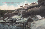 Hamburg/Stellingen Ansichtskarte/Postkarte/Carl Hagenbeck's Tierpark - Stellingen/Nordland-Panorama -